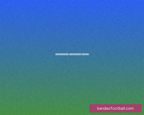 世界杯买球平台全面解析 优选平台助力投注决策 提升竞猜体验