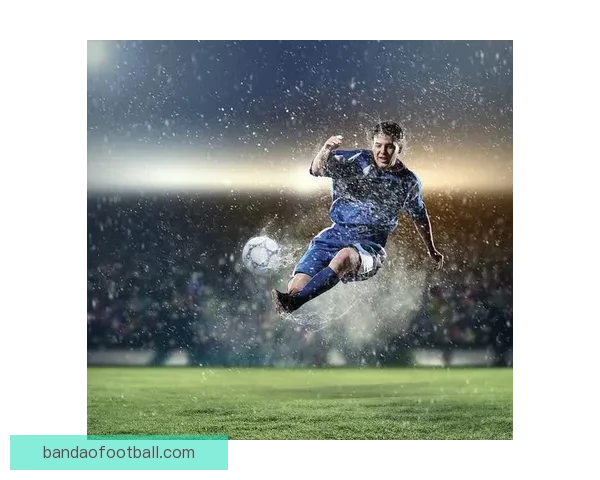 半岛体育APP官方下载入口最新版本一站式下载体验