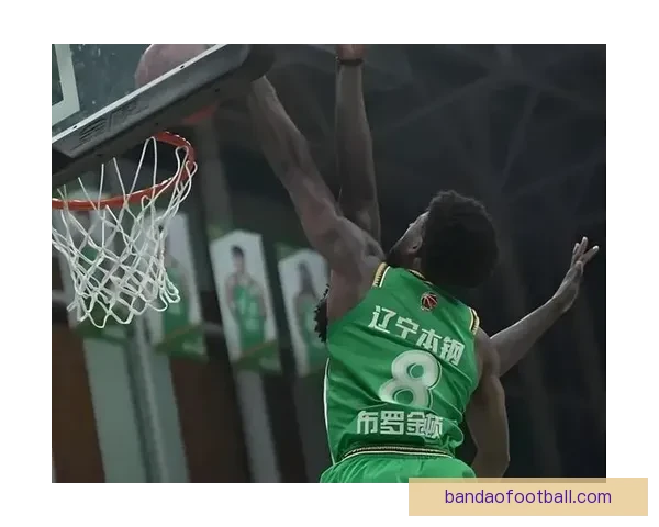 辽宁队官方宣布注册莱迪 球队感谢布罗金顿今早离队