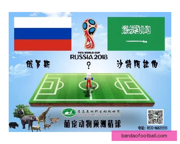 精准预测世界杯赛果，掌握足球竞猜比分秘诀技巧